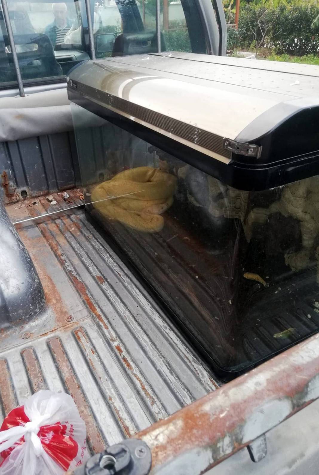 'Sanırım beni yeme hayali kuruyor' paylaşımı sonrası genç kadından şok haber! Eve giren yetkililer küçük dilini yuttu 5